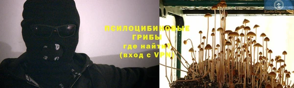 хмурый Арсеньев