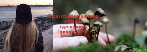 ешки Армянск