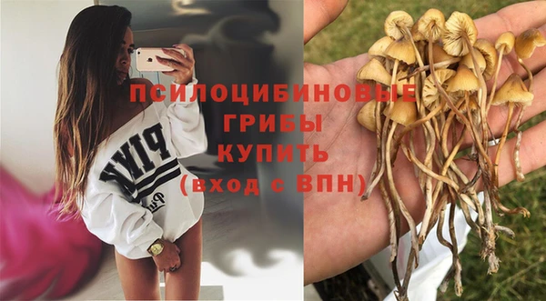 гидропоника Аркадак