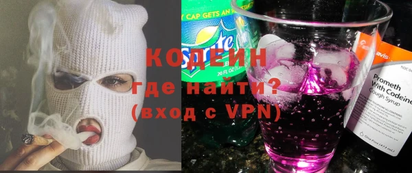 хмурый Арсеньев