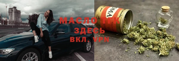 хмурый Арсеньев