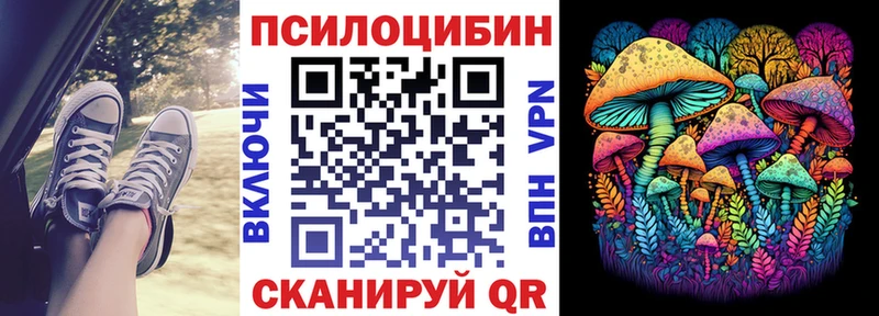 Галлюциногенные грибы Psilocybine cubensis  Канаш 
