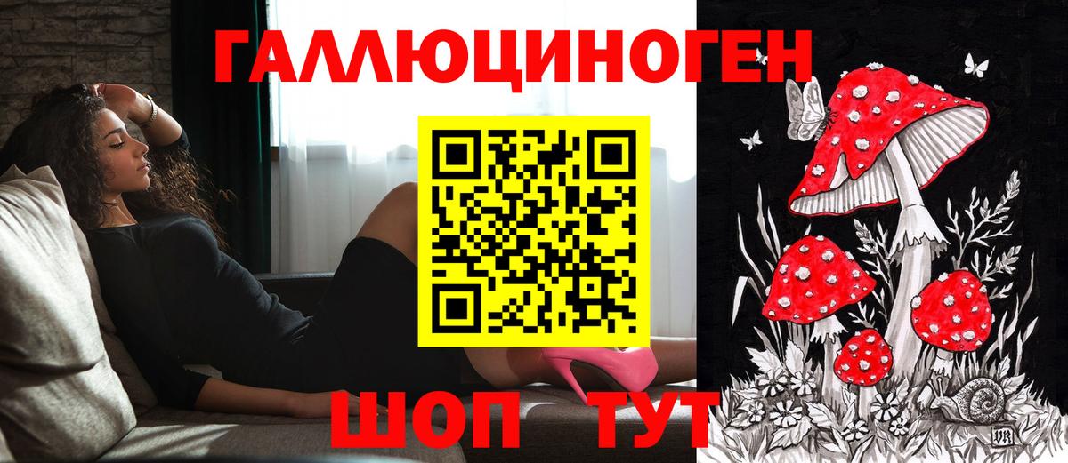 Галлюциногенные грибы прущие грибы Канаш